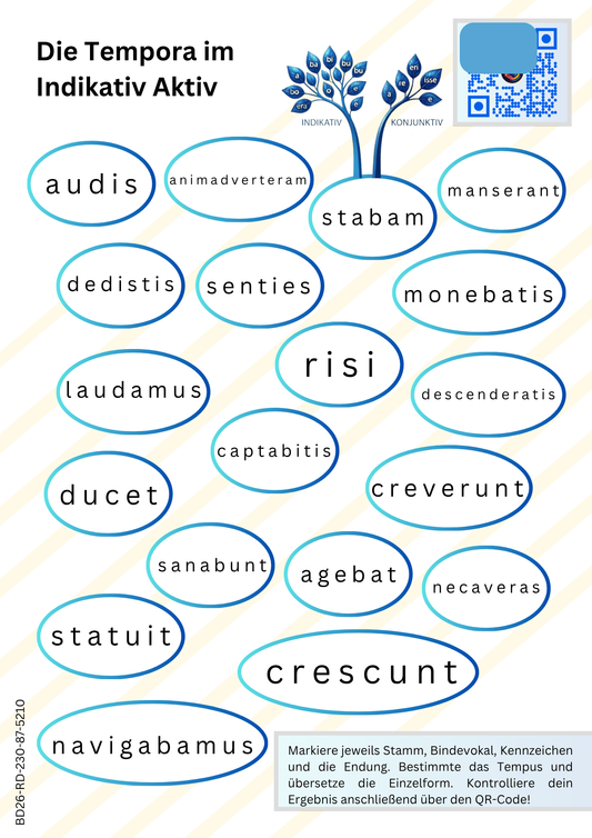 Verb- und Stammformbildung hybrid-digital (Arbeitsblatt- u. Druckvorlagen)