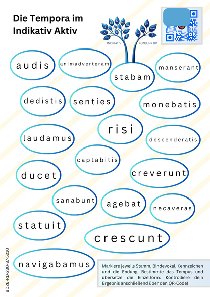 Verb- und Stammformbildung hybrid-digital (Arbeitsblatt- u. Druckvorlagen)
